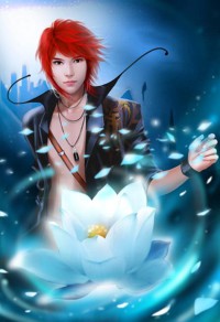 超品相师作者:九灯和善