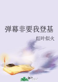 弹幕非要我登基